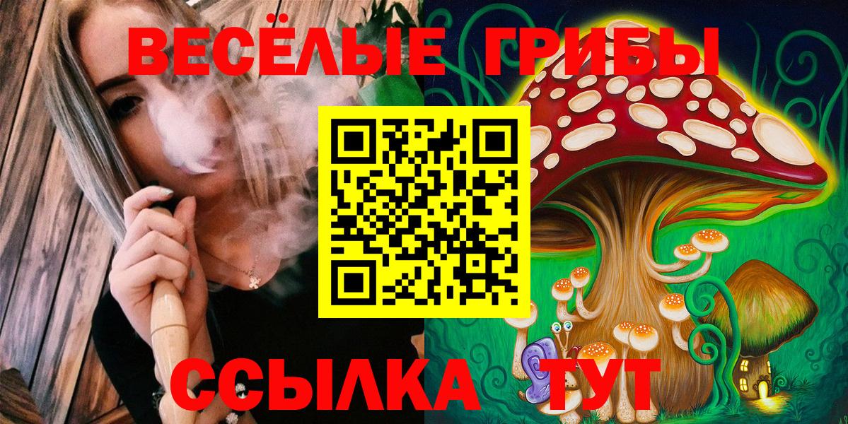 Зерноград  Псилоцибиновые грибы мухоморы  Галлюциногенные грибы Psilocybine cubensis  Вход с VPN 